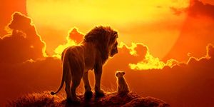 Wildlife, Lion, Sky, Poster, Movie, Big cats, Book cover, Felidae, Adaptation, Sunset, 