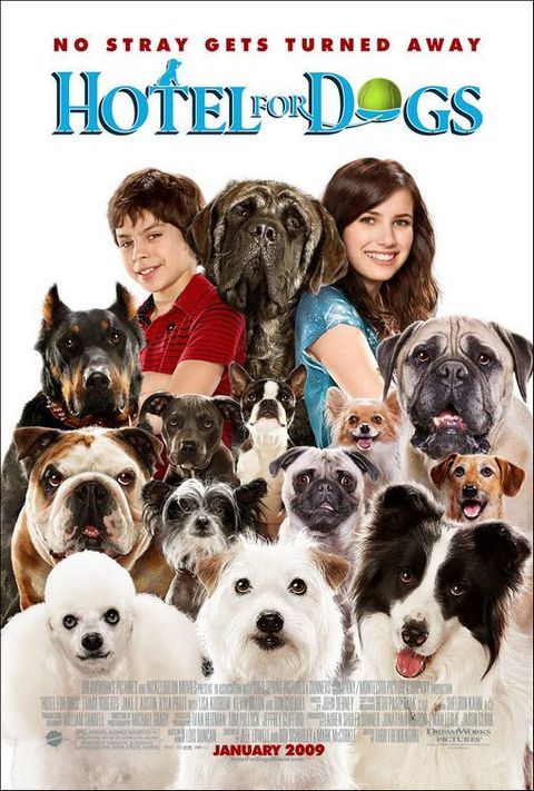 Best Amazon Prime Kids Movies - Hotel for Dogs