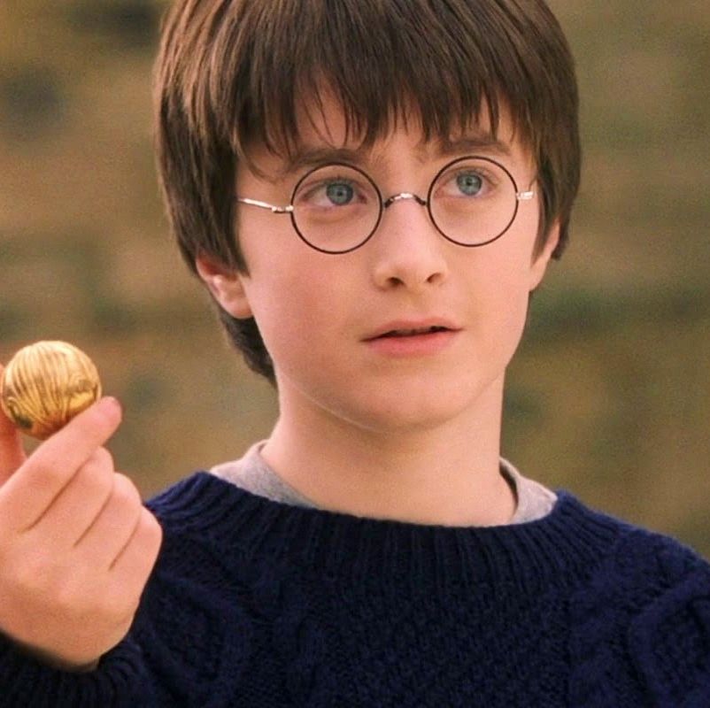 danielle radcliffe in the sorcerer's stone