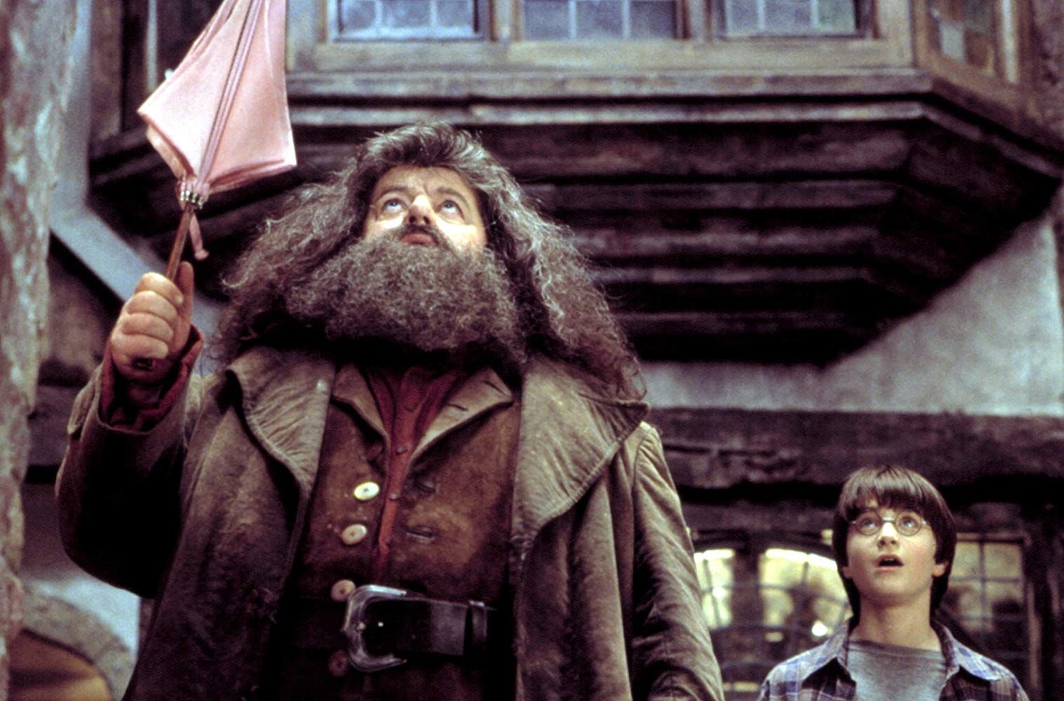 Harry and hagrid in best sale diagon alley