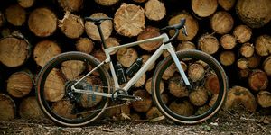 Bicycle wheel, Bicycle, Bicycle part, Wood, Vehicle, Bicycle tire, Mountain bike, Tree, Spoke, Wheel, 