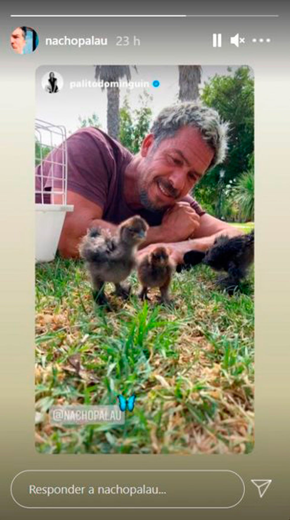 palito se reencuentra con su familia