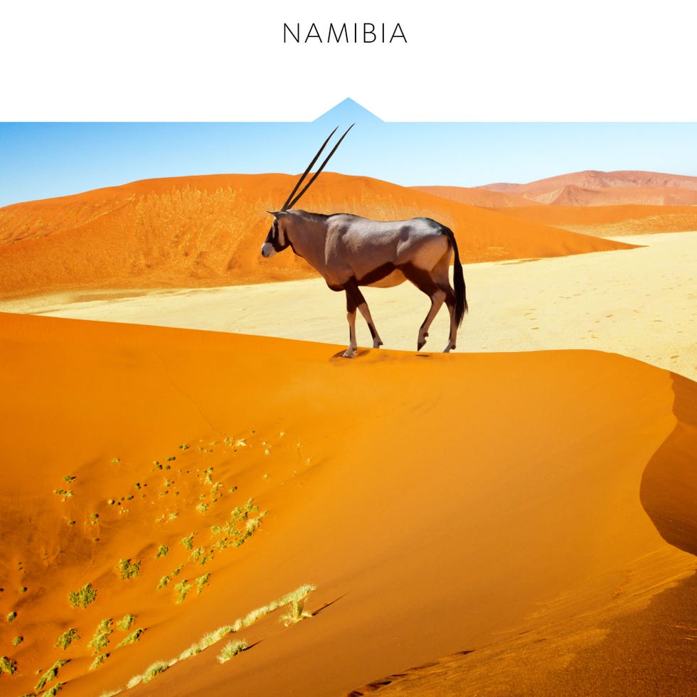 Desert, Natural environment, Erg, Gemsbok, Oryx, Aeolian landform, Dune, Sand, Sahara, Antelope, 