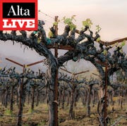 Alta Live: Wildfires in Wine Country alta live wildfires in wine country