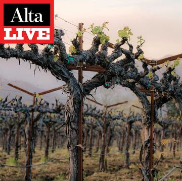 alta live wildfires in wine country