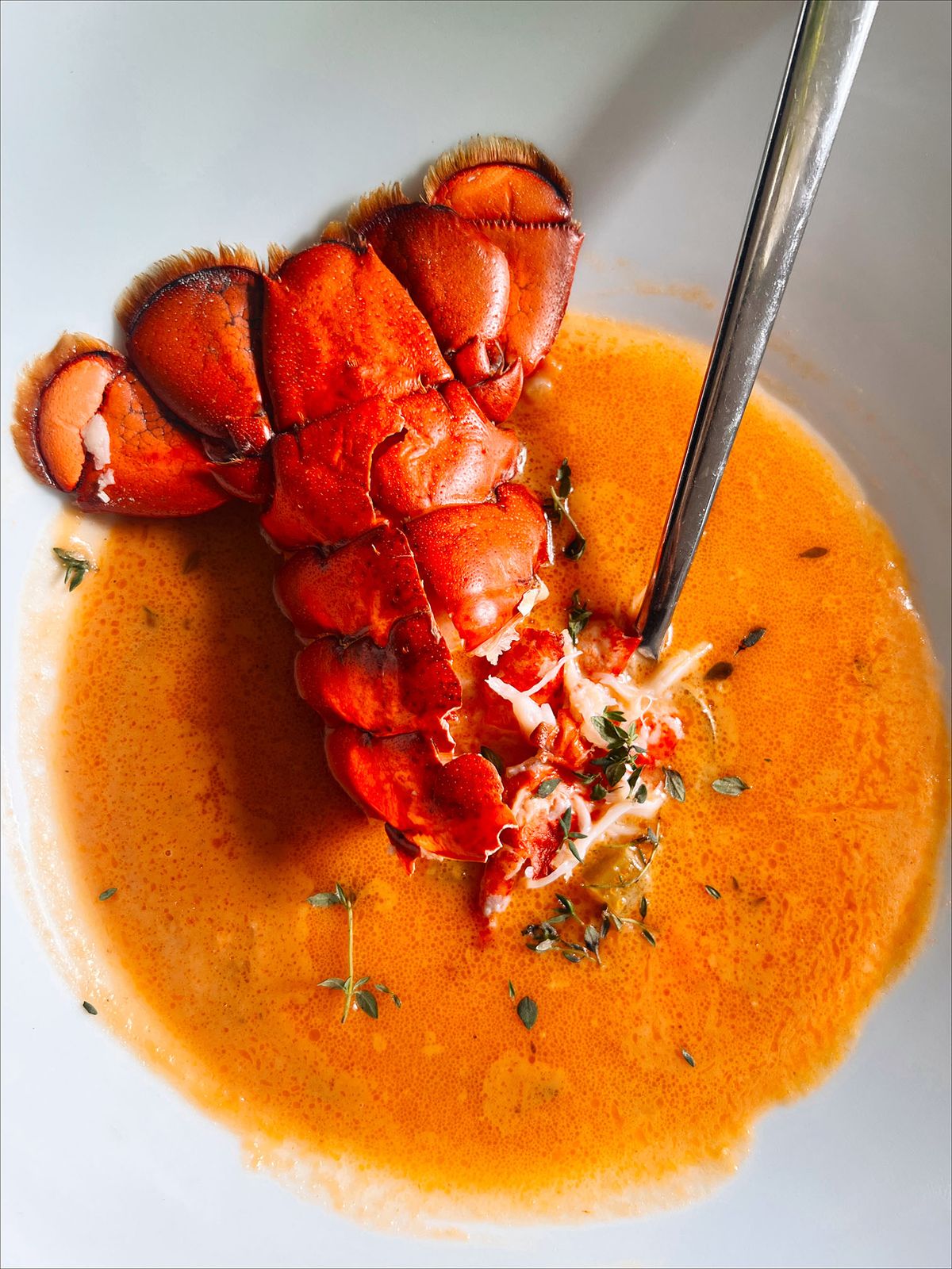 single sized lobster bisque