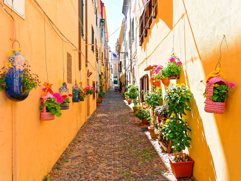 A narrow alley decorated with beautiful flowers in Alghero.