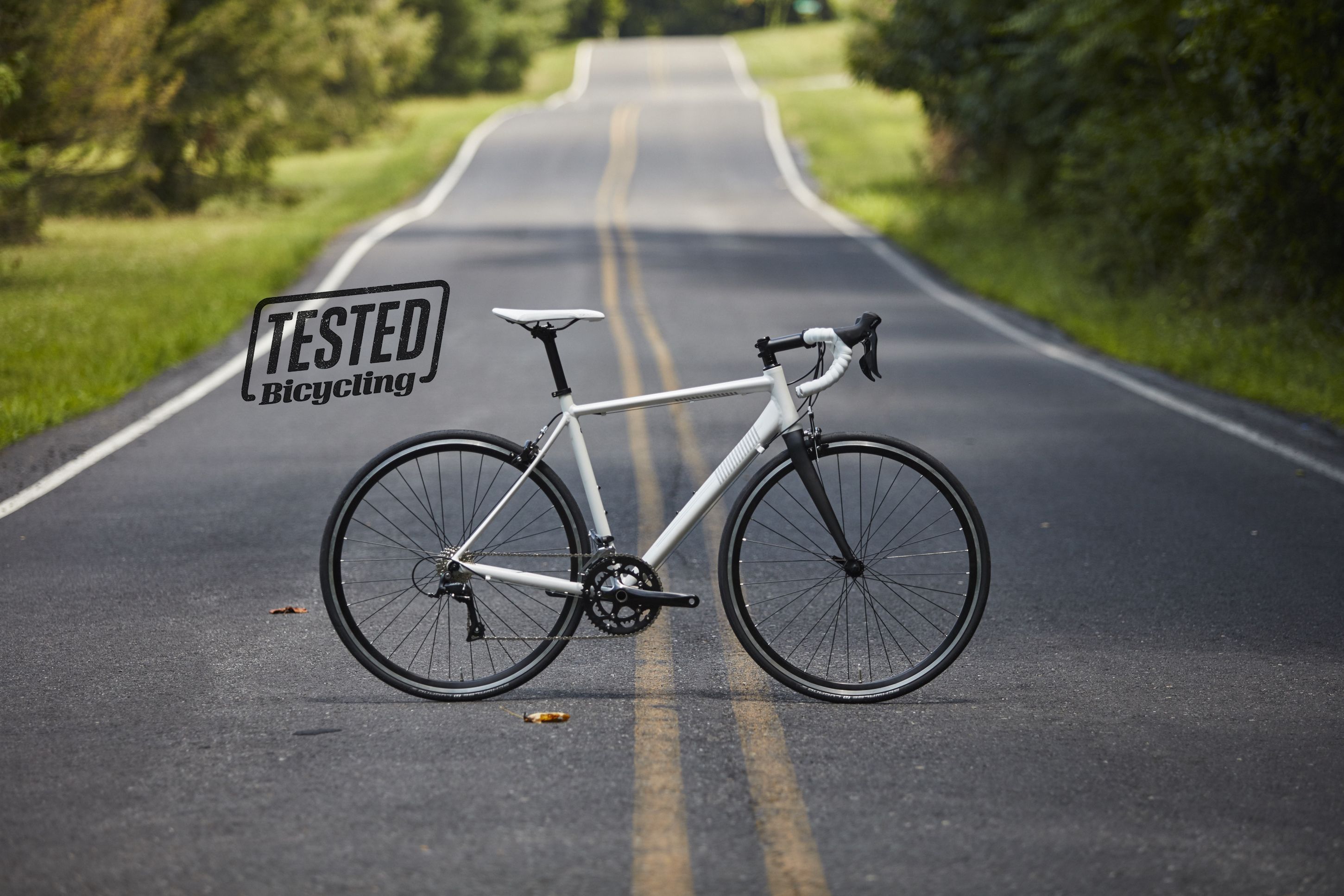 nashbar gravel bike