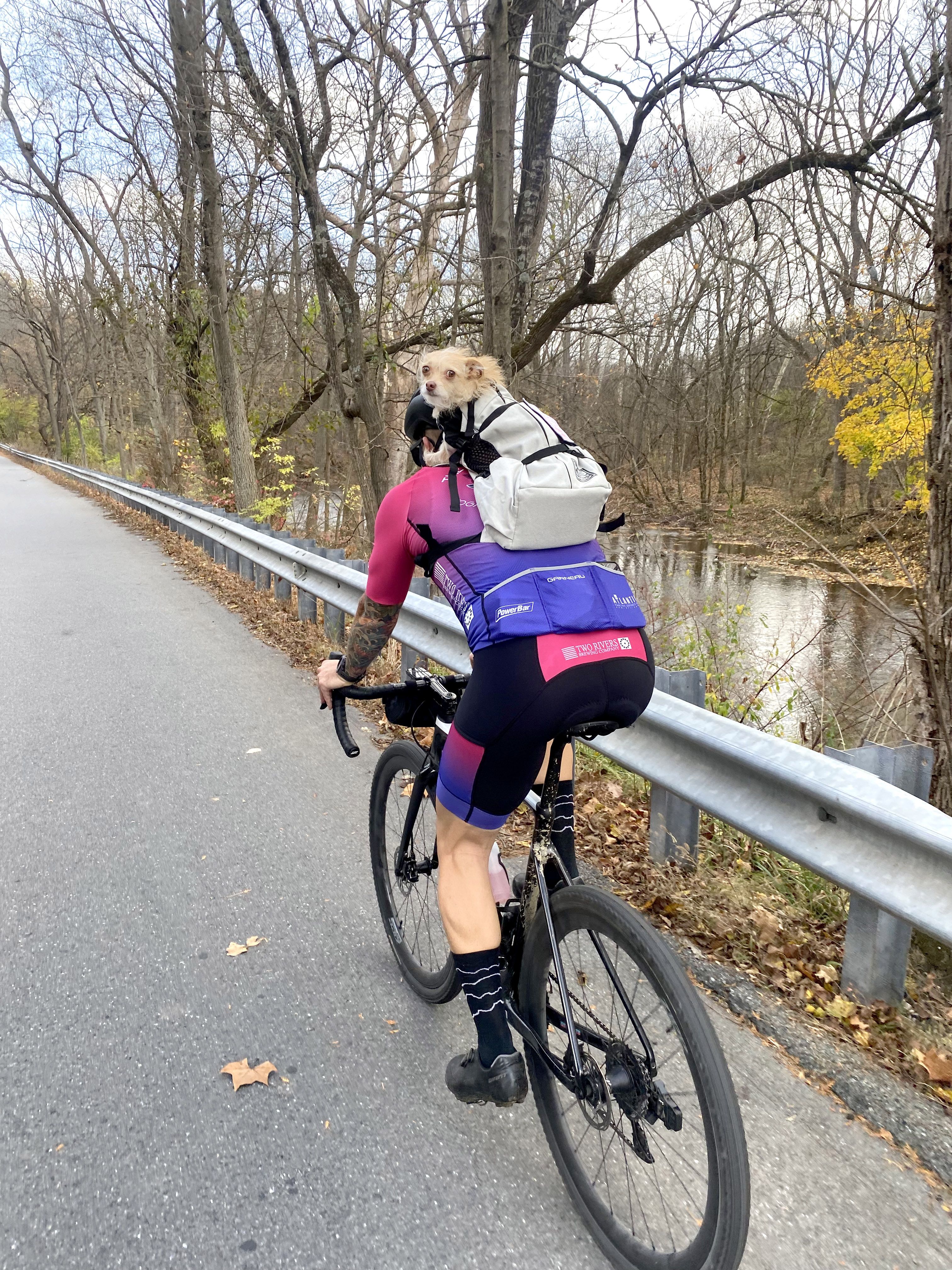 Dog backpack for cycling best sale