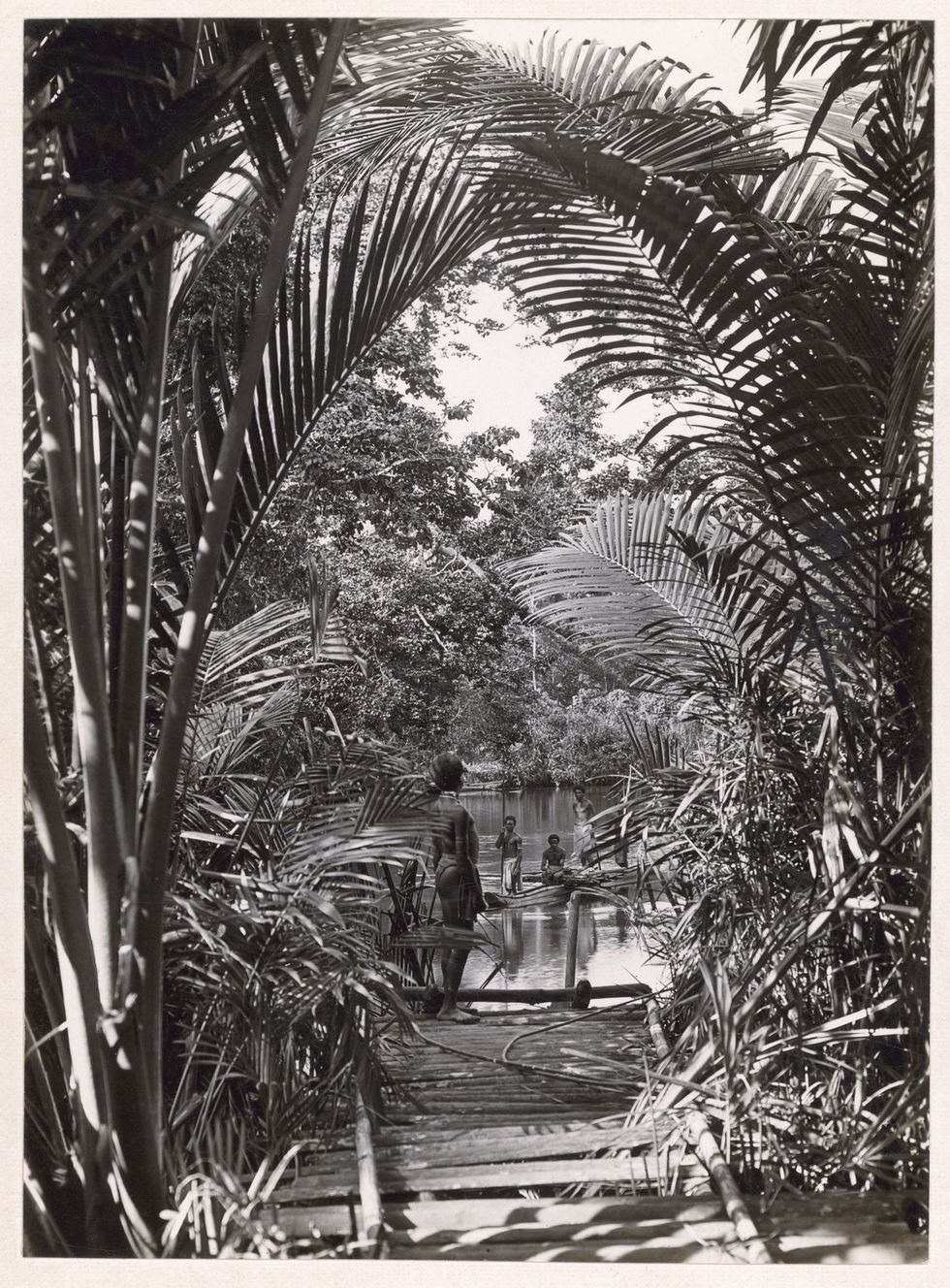 In 1921 zag kapitein Frank Hurley in de dichte jungle van PapoeaNieuwGuinea in de verte de rivier de Opi