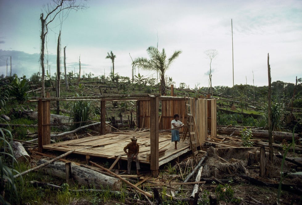 Dromend van een beter leven bouwt een echtpaar in de jaren 1980 een huis te midden van gekapte en verbrande bomen De bevolking van Rondnia groeide in de jaren 1970 en 1980 met vijftien procent per jaar