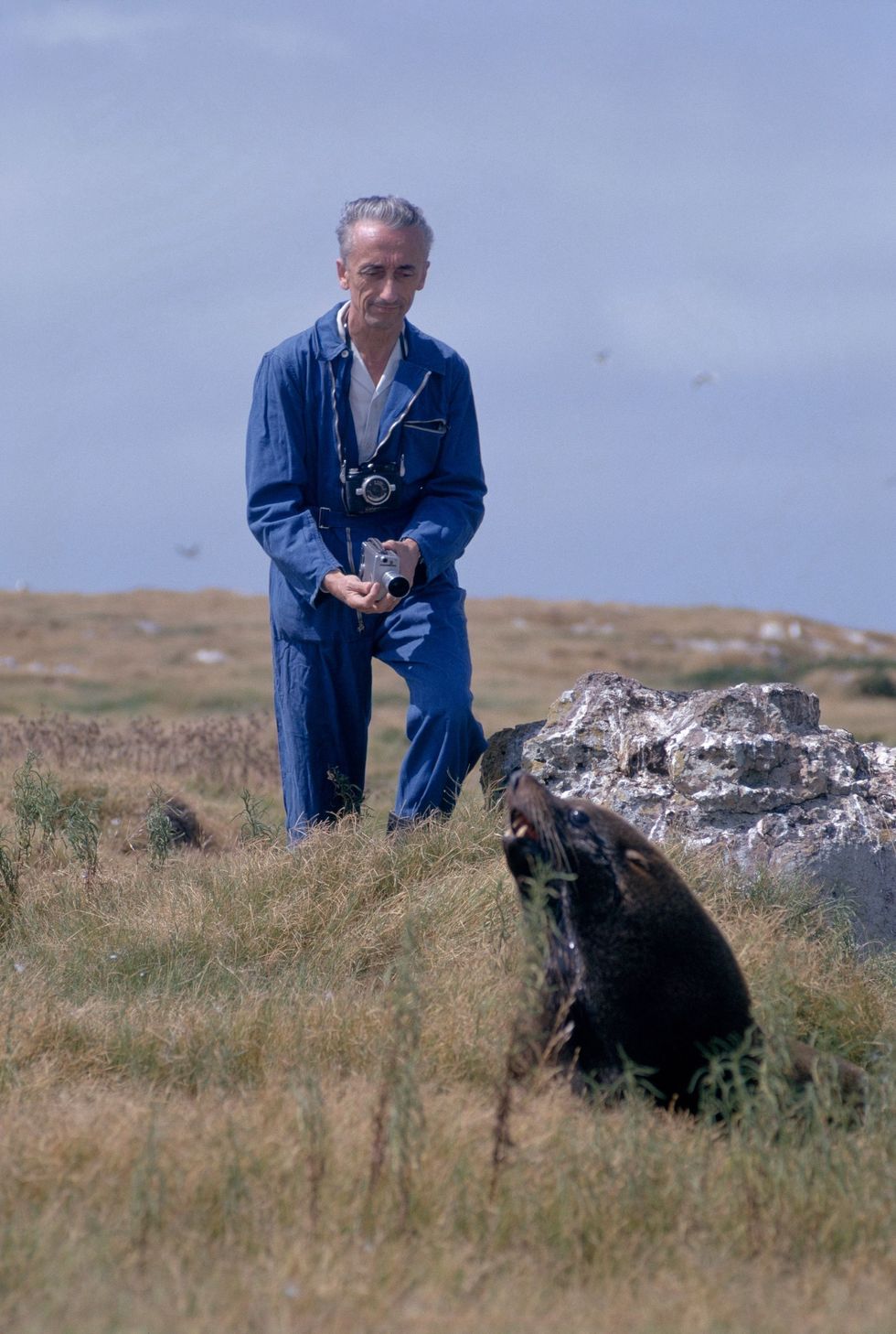 Cousteau probeert met zijn camera in de buurt van een rustende zeeleeuw te komen op Lobos Island in Uruguay Aan het eind van zijn leven ontpopte Cousteau zich als een dierenbeschermer en waarschuwde hij dat mensen schade toebrachten aan de oceanen en een bedreiging vormden voor dieren