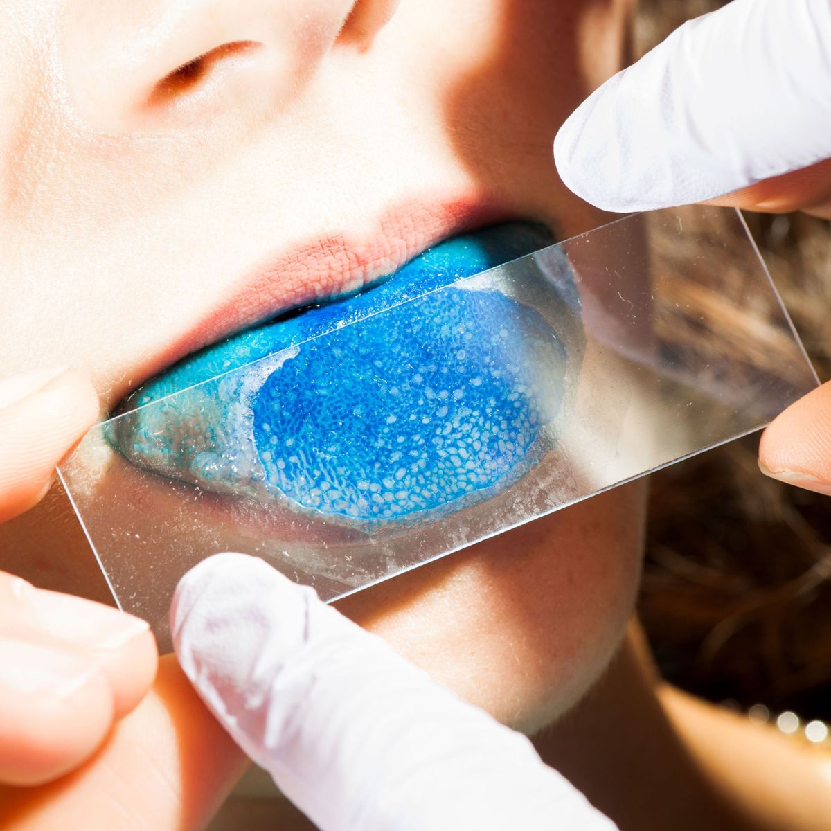 In de smaakpapillen op de tong  die met behulp van een blauwe voedingskleurstof als bleke puntjes op de tong zijn te zien  liggen smaakreceptoren verborgen