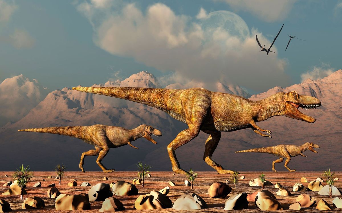 Paleontologen hebben berekend hoeveel tyrannosaurussen er ooit op aarde moeten hebben rondgewaard en kwamen tot de conclusie dat er op elk willekeurig moment tijdens hun bestaan op aarde  gedurende twee  drie miljoen jaar  gemiddeld zon 20000 exemplaren moeten hebben rondgezworven