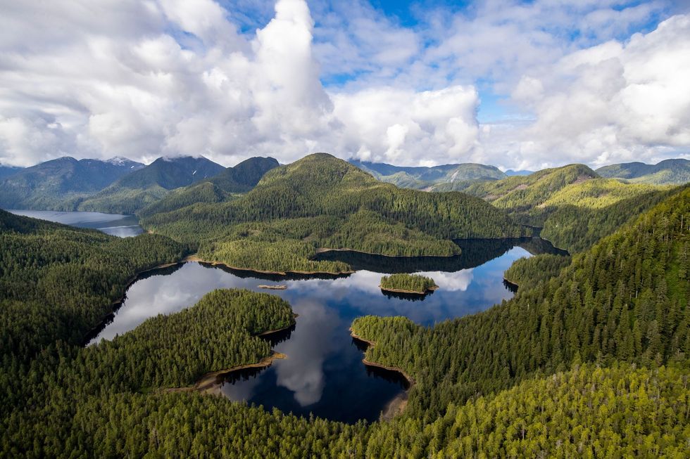 Een kustmeer in het Great Bear Rainforest in Canada wordt omringd door oeroude bomen In 2016 werd de houtkap verboden in dit gematigde regenwoud van 20000 vierkante kilometer  de oppervlakte van het land Sloveni