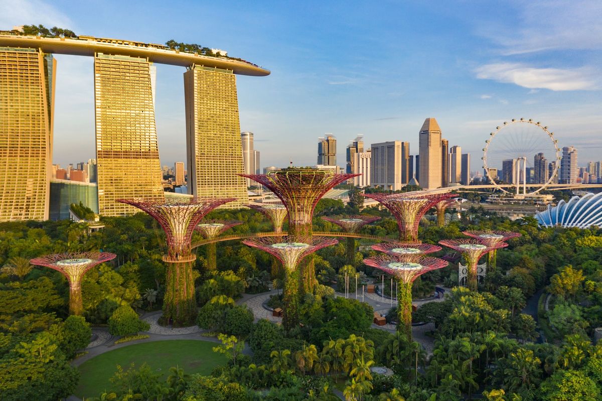In het nieuwe rapport van het VNorgaan Intergovernmental Panel on Climate Change IPCC worden vijf potentile klimaatscenarios besproken Op de foto bedekken klimplanten het rode rasterwerk van de Superbomen in het park Gardens by the Bay in Singapore