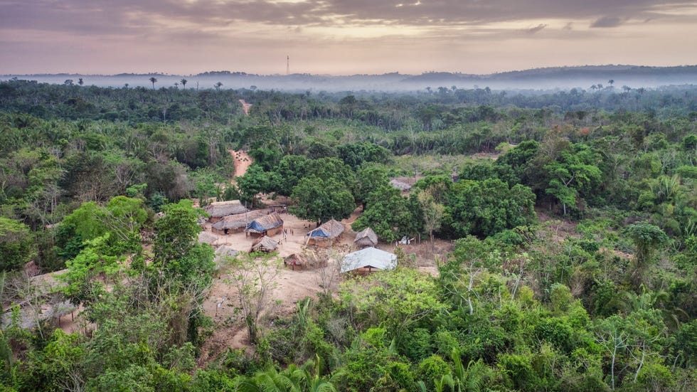 Posto Aw hier vanuit de lucht te zien is een van de vier dorpen binnen de drie aparte indianenreservaten die door de FUNAI werden opgezet om stamleden van de Aw bescherming voedsel en medische verzorging te bieden Sinds de jaren zeventig kregen de Aw te maken met geweld van landverhuizers en ziekten die door buitenstaanders in hun voorouderlijke territorium werden gentroduceerd