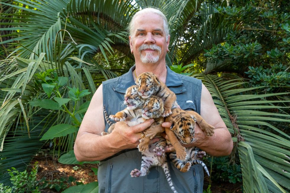 Bhagavan Doc Antle eigenaar van de Myrtle Beach Safari in South Carolina showt een groot aantal jonge tijgerwelpjes 2019