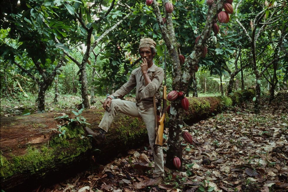 Gewapend tegen inheemse verdedigers neemt een rubbertapper een pauze tussen de cacaobomen op deze foto uit een National Geographicartikel uit 1988 over de aanval van kolonisten in de afgelegen Braziliaanse deelstaat Rondnia