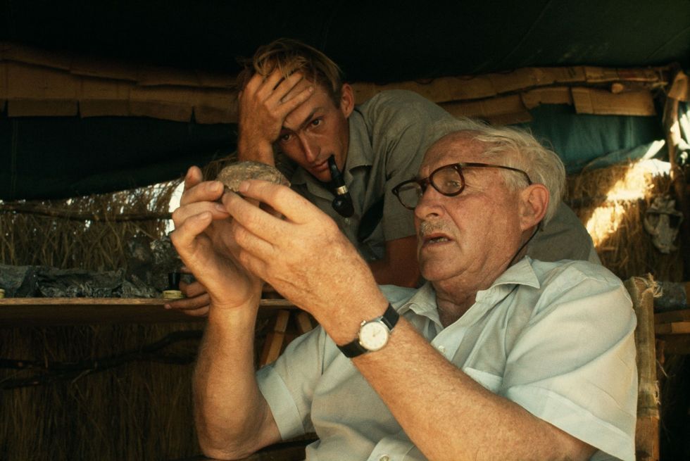 Op deze foto uit 1969 bestuderen Richard Leakey links en zijn vader Louis Leakey de fossiele schedel van een aap uit de oertijd die werd aangetroffen op de vindplaats Koobi Fora aan het Turkanameer