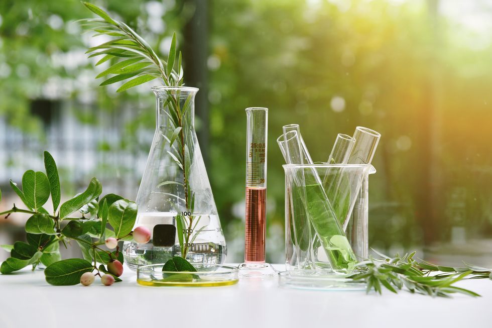 natural drug research, natural organic and scientific extraction in glassware, alternative green herb medicine, natural skin care beauty products, laboratory and development concept