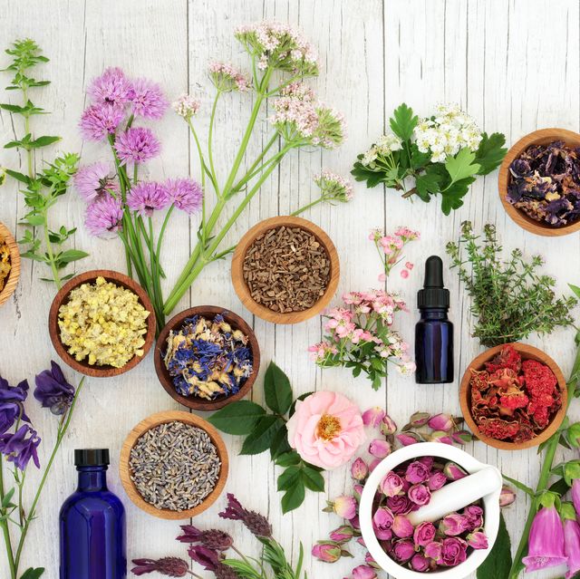 natural herbal medicine