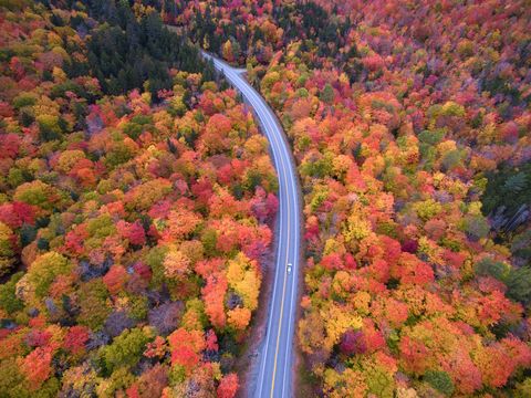Luchtopname van de herfst in Dixville Notch New Hampshire Ik vind het heerlijk om in de herfst over deze wegen te rijden Ik heb een drone gebruikt om herfstkleuren vast te leggen die vanaf de weg niet te zien waren