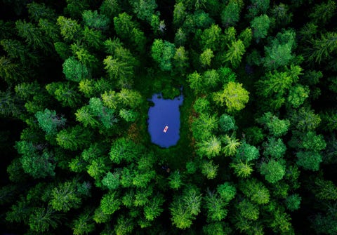 Mijn zoon Levi drijft op een luchtbed in een vijvertje in het midden van de bossen rond het Zweedse Gnosj