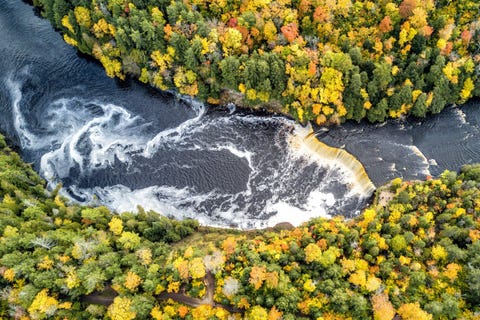 De Tahquamenon Falls zijn vanwege het bruinige water dat hier het hele jaar door stroomt op zichzelf al een natuurwonder Dat is het gevolg van de tanninen die vanuit het cedermoeras in het water sijpelen het moeras staat in verbinding met de rivier de Tahquamenon en in de herfst wordt het hele landschap hier extra mooi door de kleuren van het water en de omringende bomen