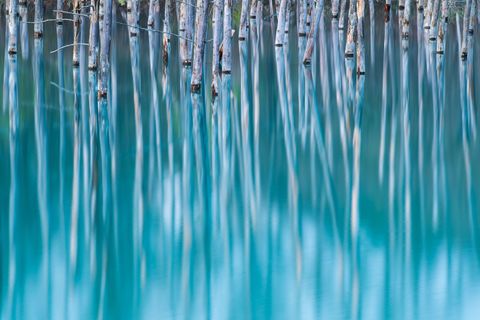 Op een vroege ochtend zag ik deze prachtige weerspiegelingen van een groepje bomen in een blauwe vijver
