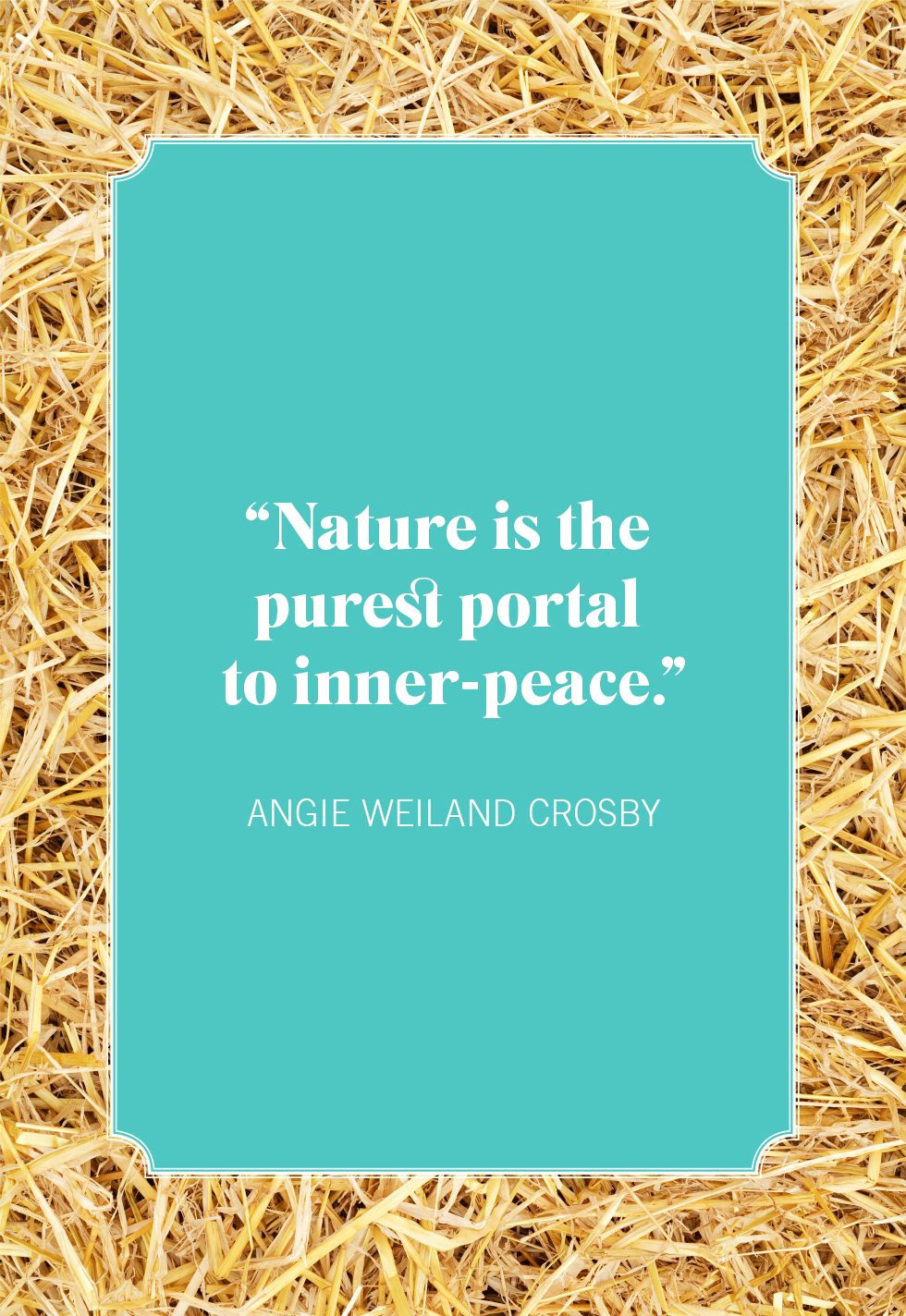 40 Best Nature Quotes - Short Sayings About Natural Beauty