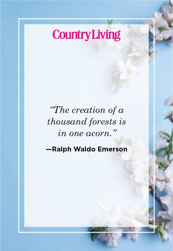 ralph waldo emerson nature quotes