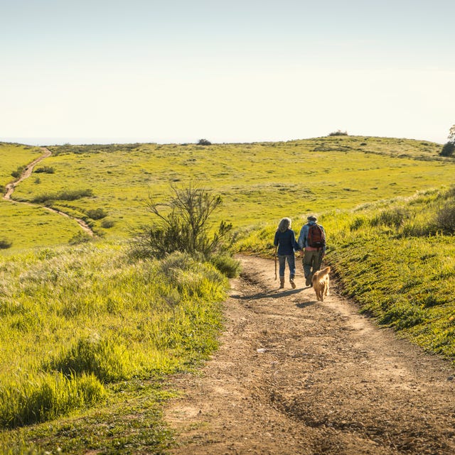 couple walking through nature