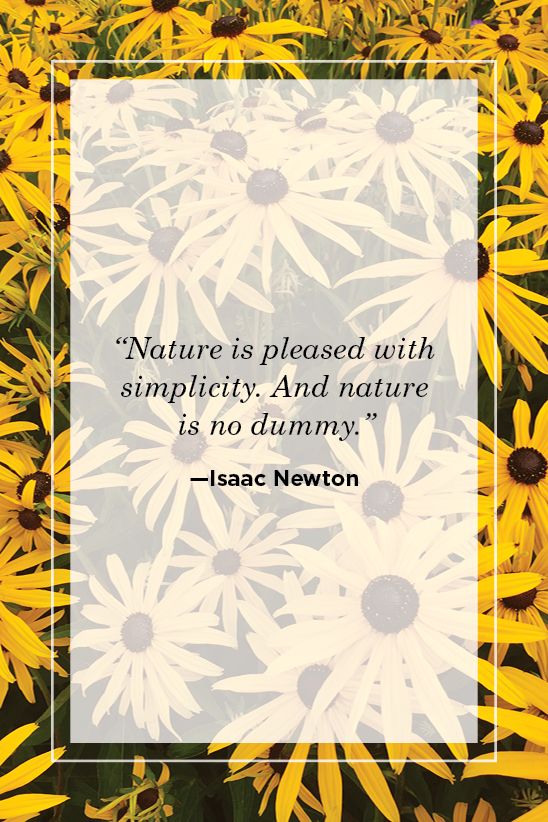 Isaac Newton nature quote 