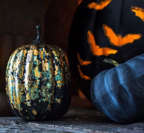 Pumpkin, Winter squash, Calabaza, Cucurbita, Still life photography, Gourd, Orange, Vegetable, Still life, Squash, 