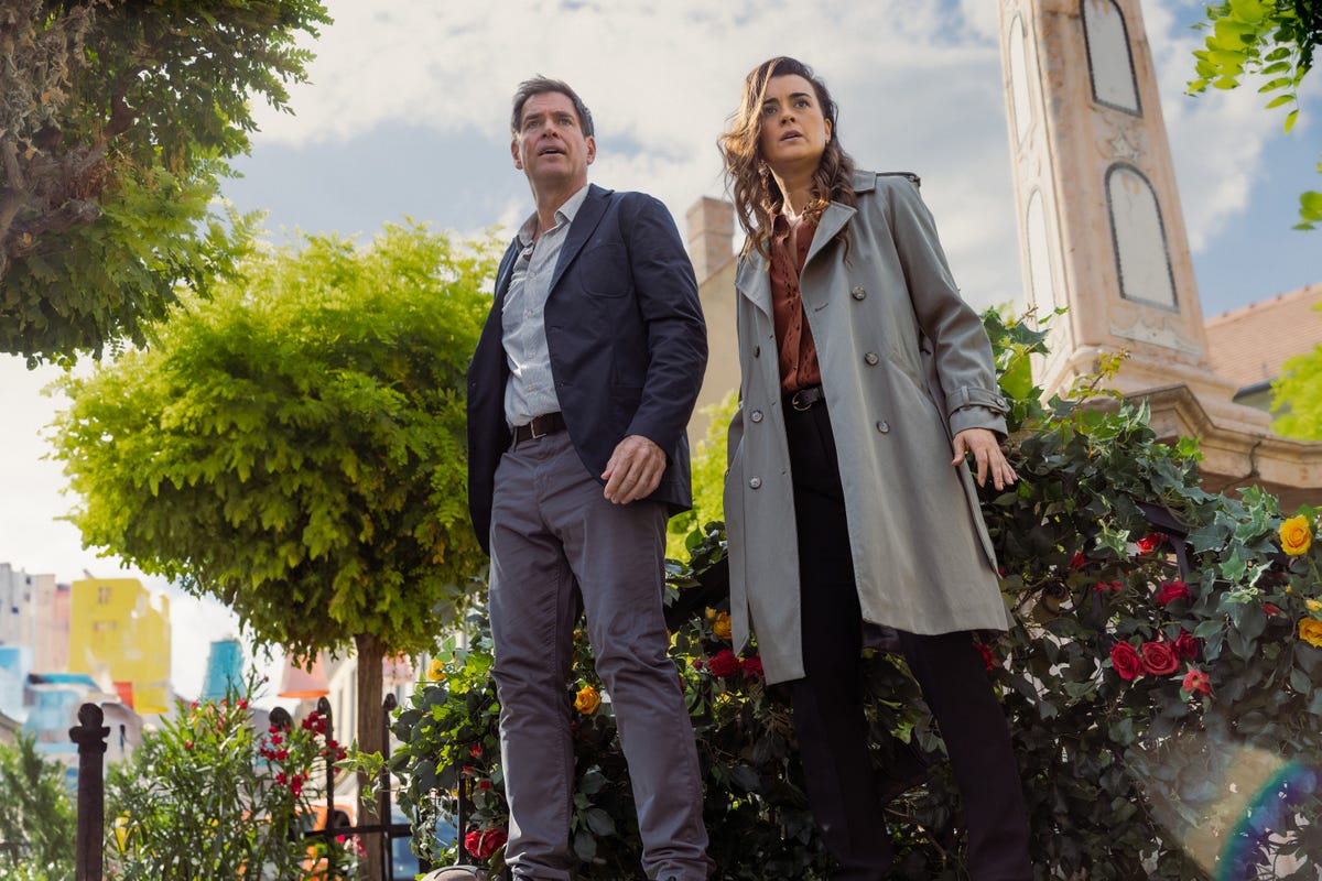 Meet the Cast and Characters of ‘NCIS: Tony & Ziva’