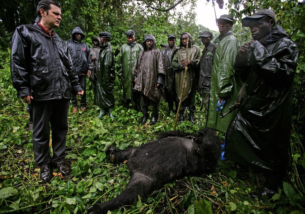 Emmanuel de Merode directeur van het Virunga National Park en parkopzichters onder wie Bauma bekijken de plek waar in juli 2007 meerdere berggorillas werden vermoord De aanval kon later in verband worden gebracht met de illegale handel in houtskool in het gebied