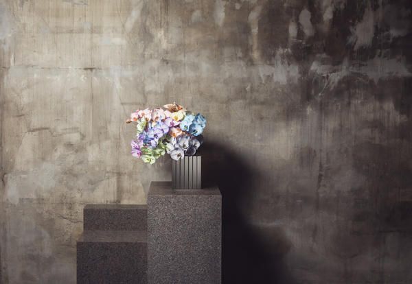 Wall, Flower, Still life photography, Plant, Flowerpot, Still life, Concrete, Wildflower, Bouquet, Art, 
