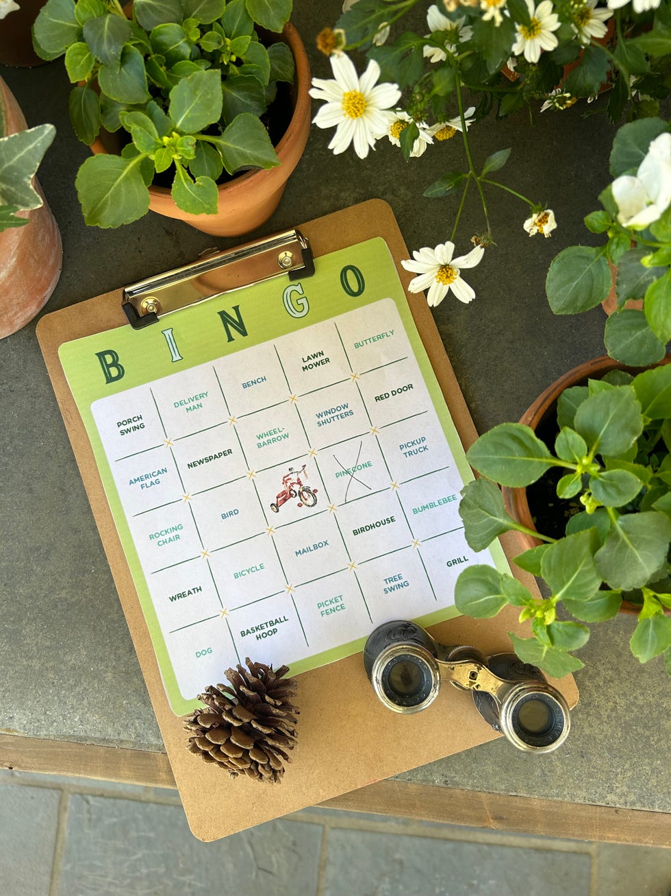 neighborhood bingo hunt game