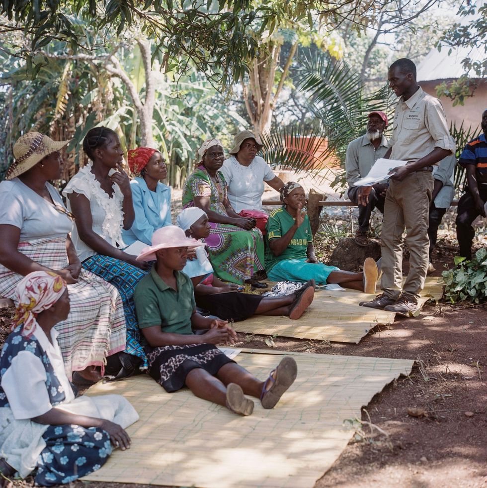 De opleidingen van de academie op het gebied van aanplant snoeien en oogsten worden gegeven door AAAlandbouwkundigen en trainers zoals Tafadzwa Nyakuchena Hij geeft ook advies ter plaatse tijdens huisaanhuisbezoeken in de gemeenschappen om het toepassen van aangetoonde best practices te stimuleren