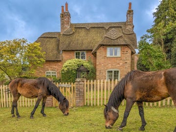 cottage for sale in the new forest