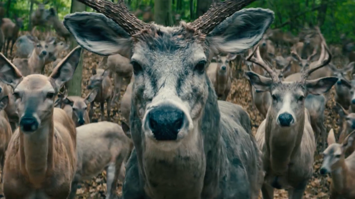What is the meaning of the deer in Leave the World Behind?