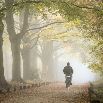 een fietser fietst door nederlands herfstlandschap