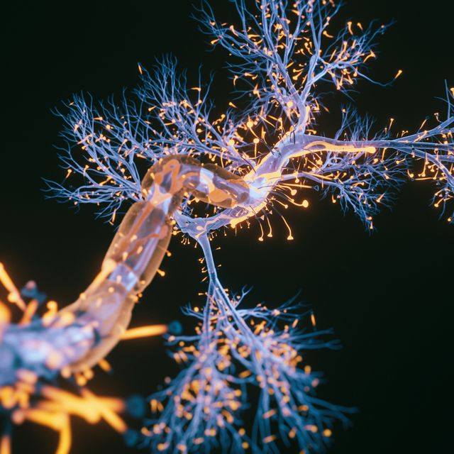 neuron cell