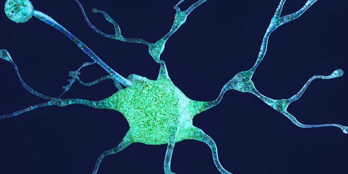 Scientists Built a Working Human Brain Cell Out of Salt and Water