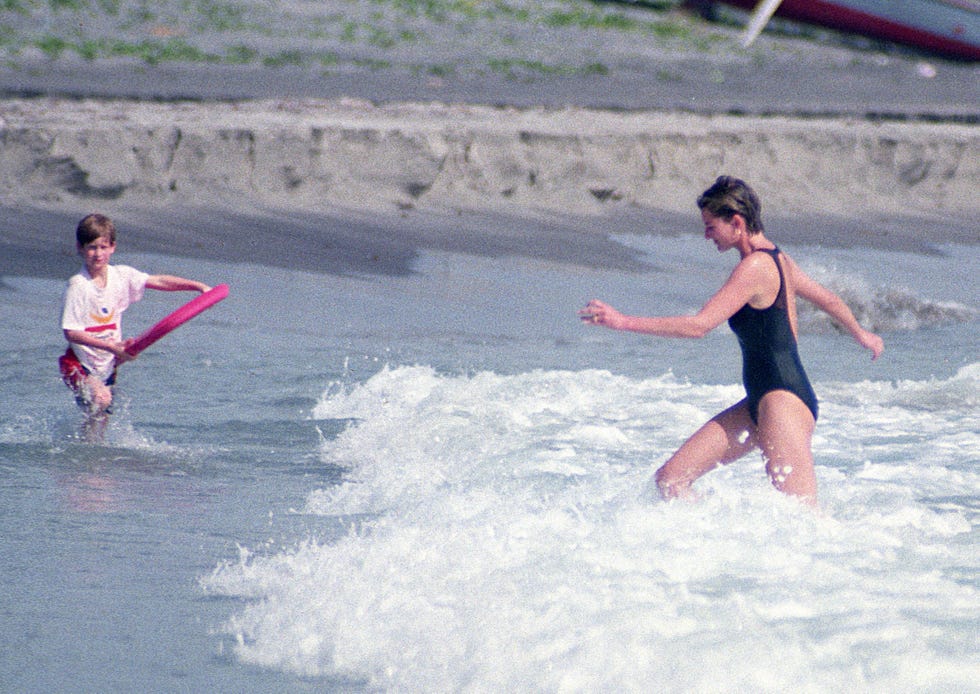 Tom Wargacki's Princess Diana Archive  -  In Memory of Diana, Princess of Wales, who was killed in an automobile accident in Paris, France on August 31, 1997.