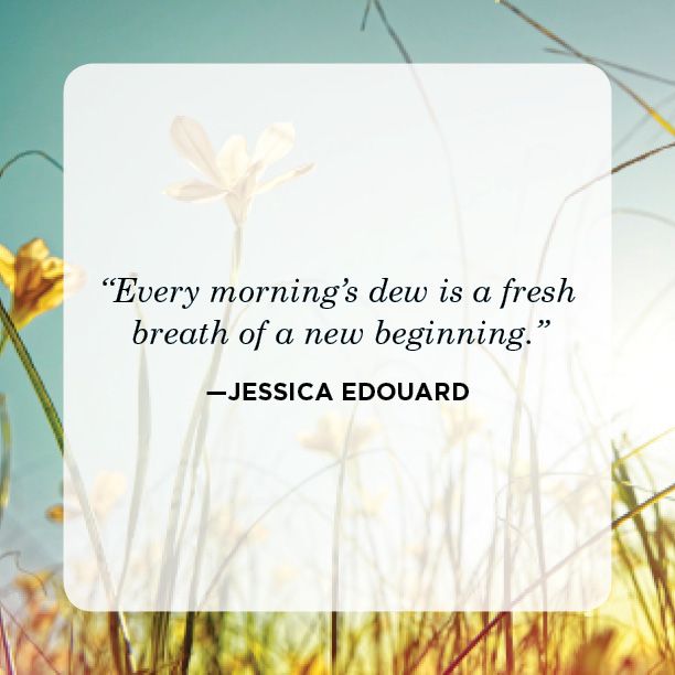 new beginning quote