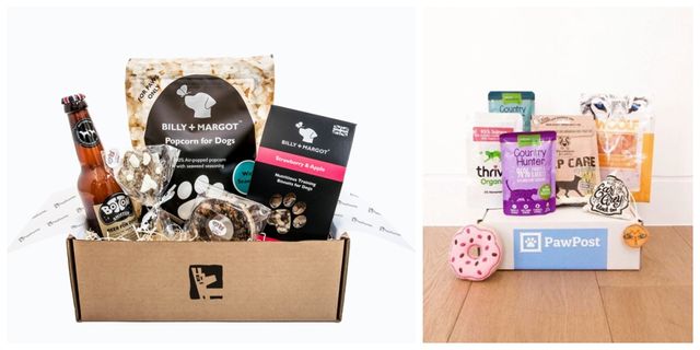 10 Of The Best Dog Subscription Bo