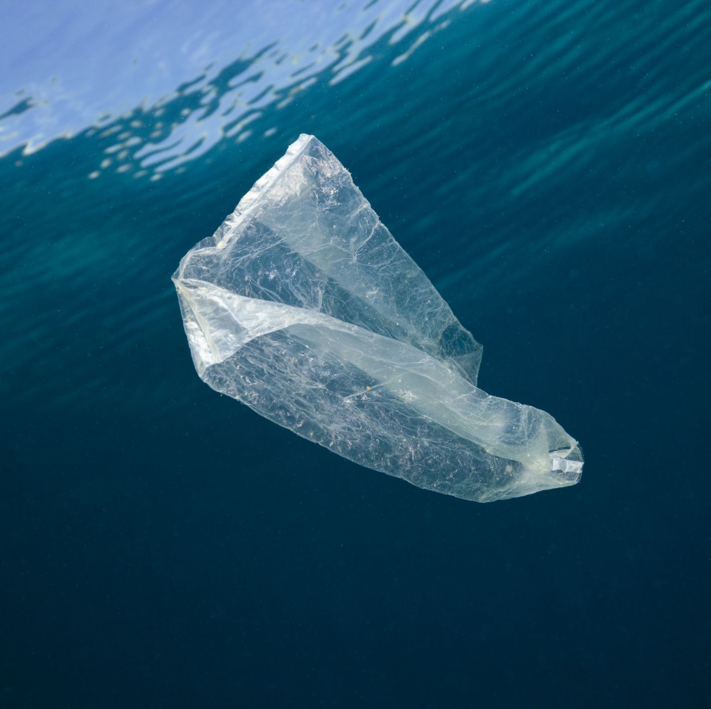 Nat Geo launch competition to help reduce plastic waste