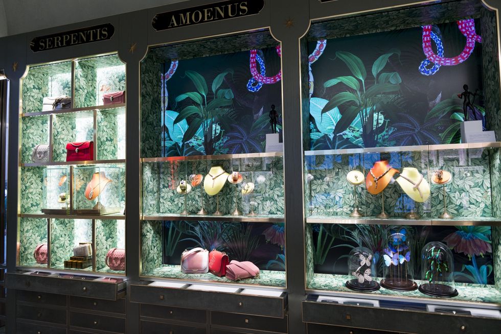 Organism, Aquarium, Glass, Display case, Window, Display window, Freshwater aquarium, Marine biology, 